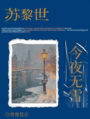 苏黎世今夜无雪