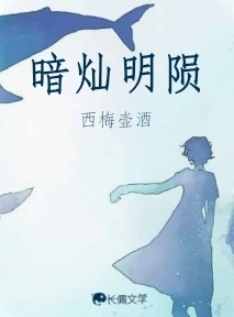暗灿明陨