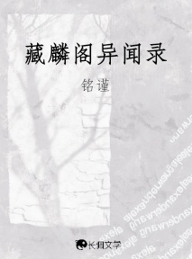 藏麟阁异闻录