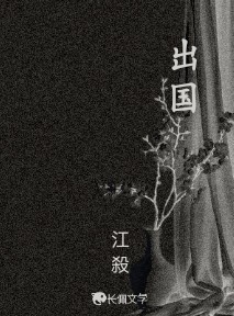 出国_江殺著_长佩文学网