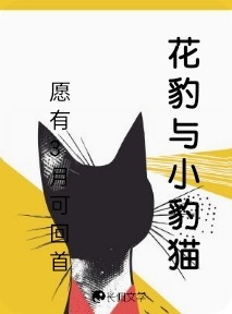 花豹与小豹猫