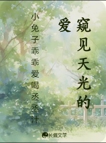 窥见天光的爱