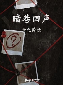 暗巷回声