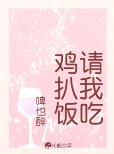 请我吃鸡扒饭