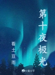 第十夜极光