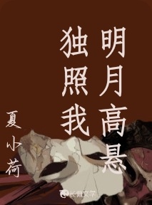 明月高悬独照我
