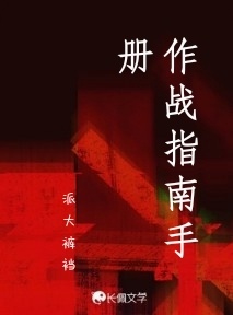 作战指南手册