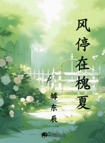 风停在槐夏
