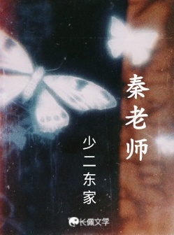 秦老师
