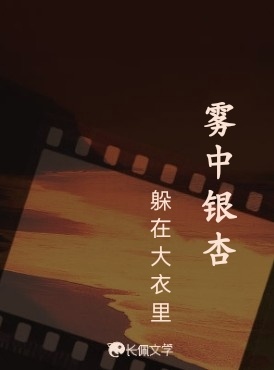 雾中银杏
