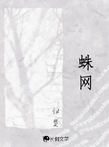 蛛网
