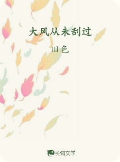 大风从未刮过