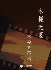 木槿无夏