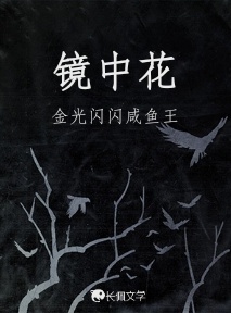 镜中花