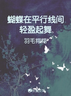 蝴蝶在平行线间轻盈起舞