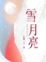 雪月亮