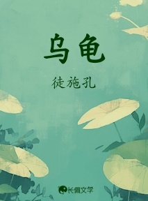 乌龟