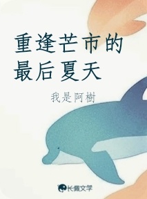 重逢芒市的最后夏天