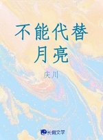 不能代替月亮