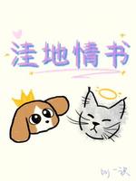 洼地情书
