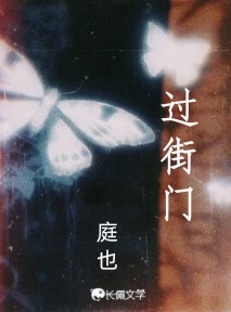 过街门