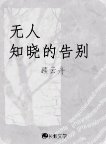 无人知晓的告别