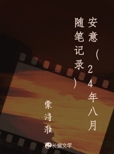 安意（24年八月随笔记录）
